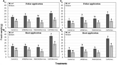 Resistance Induction in Olive Tree (Olea europaea) Against Verticillium Wilt by Two Beneficial Microorganisms and a Copper Phosphite Fertilizer